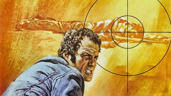 #8 The Killer Elite