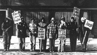 The Willmar 8 (1981)