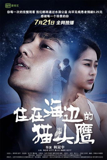 住在海边的猫头鹰 poster