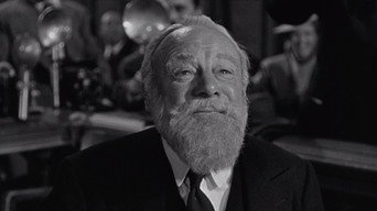 Miracle on 34th Street backdrop 10
