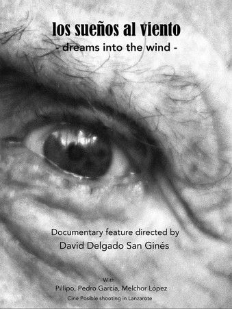 Dreams into the wind poster