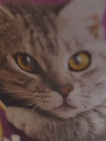 The Hand That Feeds poster