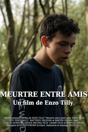 Meurtre entre amis poster