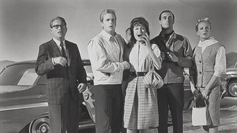 The Lively Set (1964)