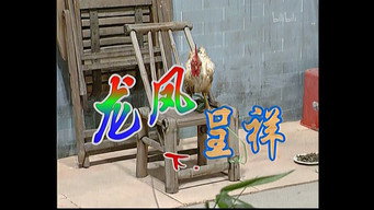 Episode 60