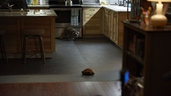 Crawford - S1E01