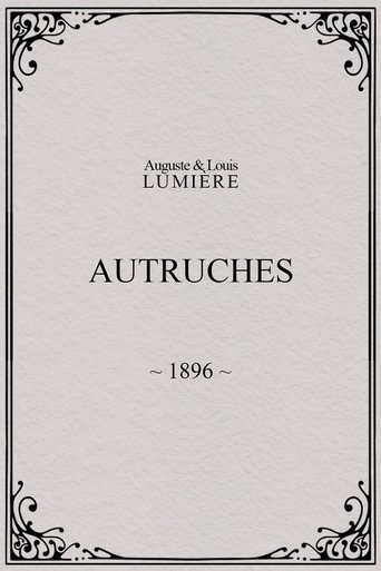 Autruches (1896)