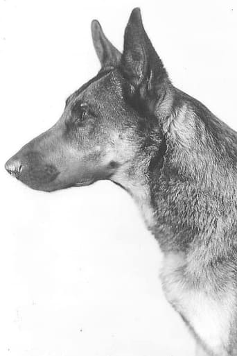 Image of Napoleon the Dog