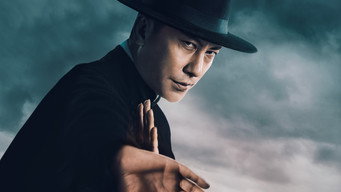 #23 Ip Man: Kung Fu Legend