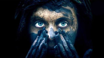 Galeria 5 - Criaturas nocturnas