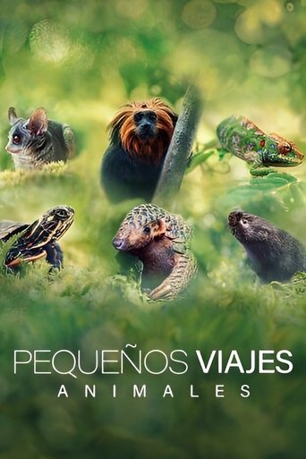Poster of Big Little Journeys