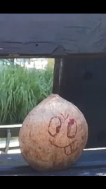 Captura