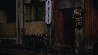#5 The Alley Cat