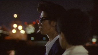 夜のストレンジャー 恐怖