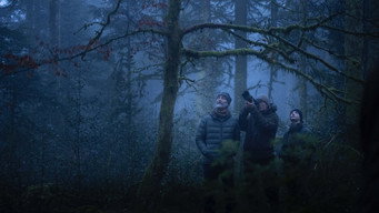 #9 Whispers in the Woods