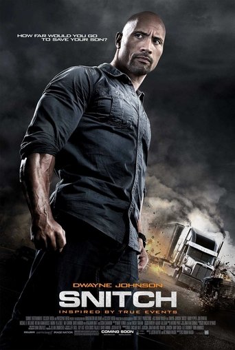 Snitch poster image