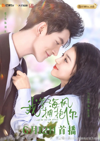 我等海风拥抱你 poster