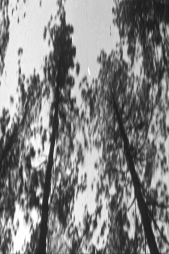 Ver la ciudad en llamas poster