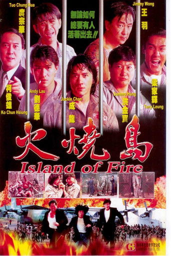 Island of Fire Collection poster