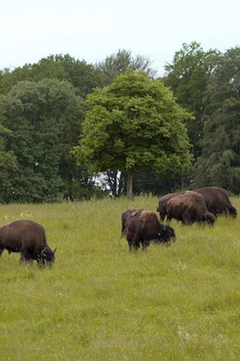 Tribal Affairs poster