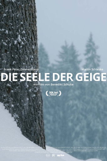 Die Seele der Geige poster