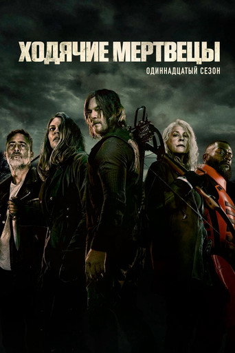 Сезон 11