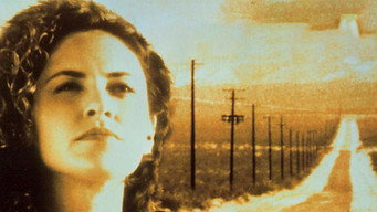 Nevada media image