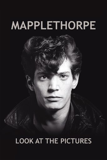 Mapplethorpe: Look at the Pictures