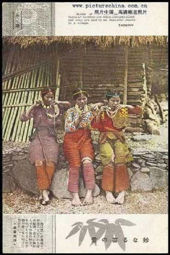 Postcards from Indigenous Taiwan (2013年)のポスター画像 - FindKey