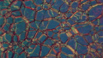 Liquid Crystals (1978)