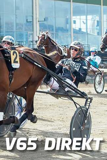 ATG: V65 Direkt poster