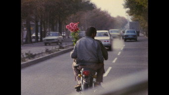 #19 Великий план