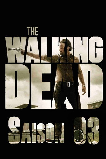 The Walking Dead - S3 - Épisode 3 : Marchez avec moi - Affiche