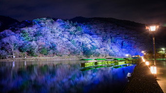 #18 The Obby Realm
