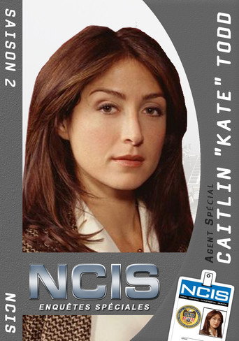 NCIS : Enquêtes Spéciales - S2 - Poster