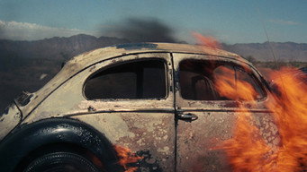 #57 Walkabout