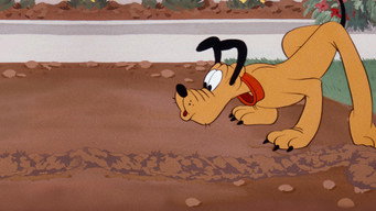 Pluto and the Gopher (1950)