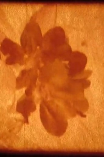 Magma (2012)