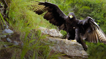 #6 Africa's Hidden Kingdoms