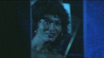 Sexy Night Report n. 2 (1978)
