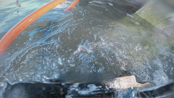 Water Work