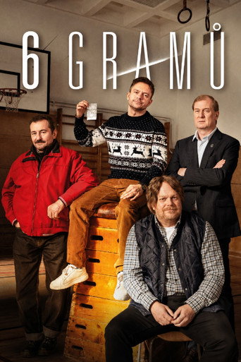 6 gramů poster