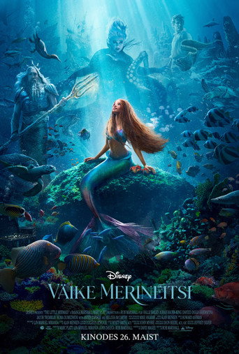 Väike merineitsi plakat