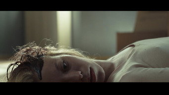 Flowers (2017)