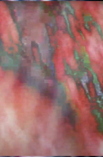 baktiotha invocation poster