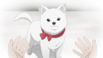 Kinoko Inu