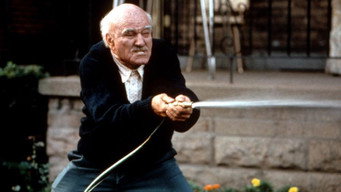 Сусіди по кімнаті, або невгамовний дід (1995)