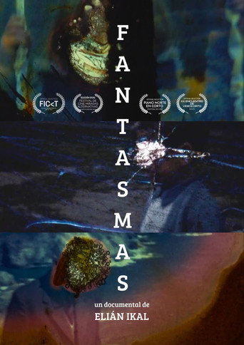FANTASMAS (Documental) galeri 1