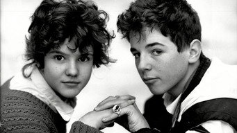 The Gemini Factor (1987)