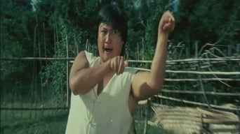 The Incredible Kung Fu Master (1979)